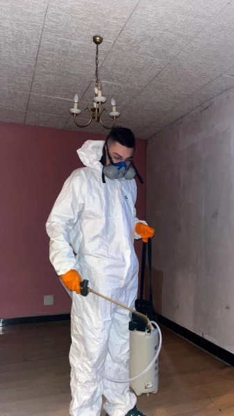 desinsectisation-desinfection-lutte-nuisibles-boitron-77750