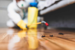 Des professionnels disponibles 24h/24 et 7j/7 pour lutter contre les nuisibles  